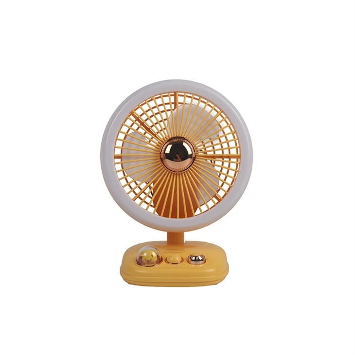 Portable Outdoor Fan Plastic Mold