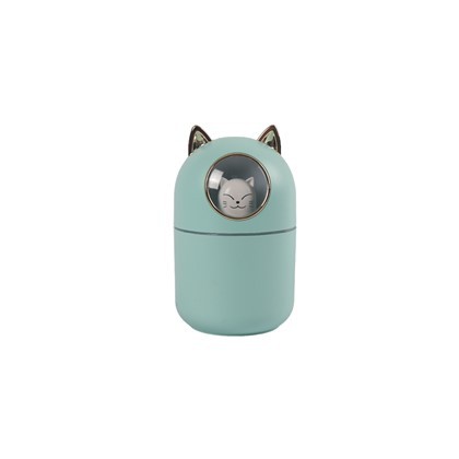 Handheld Face Humidifier Plastic Parts
